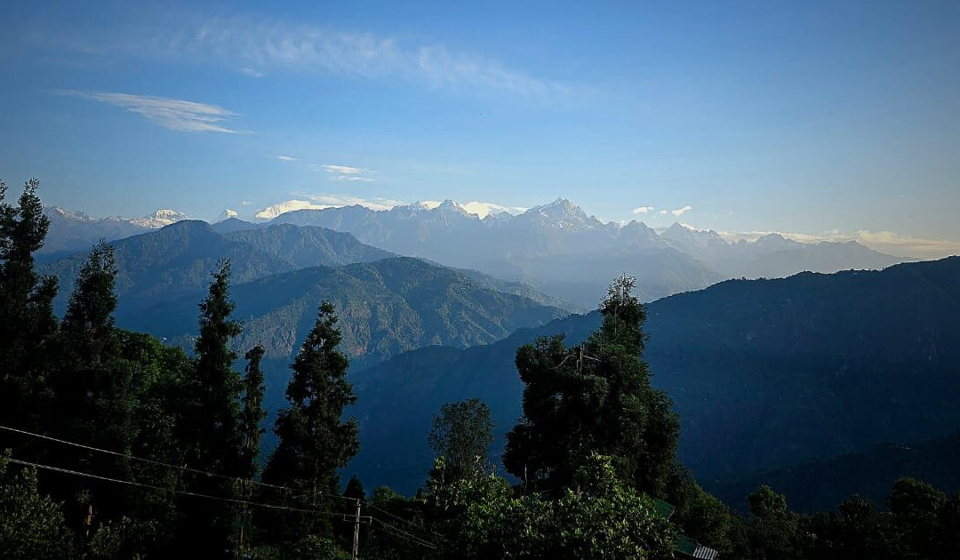 Tea Garden View-大吉岭必去景点