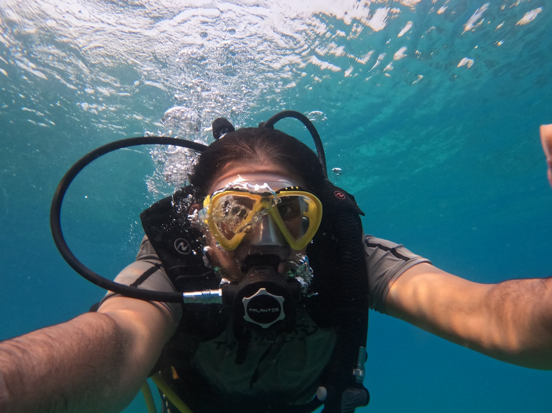 Paradise Blue Center-迪拜必去景点