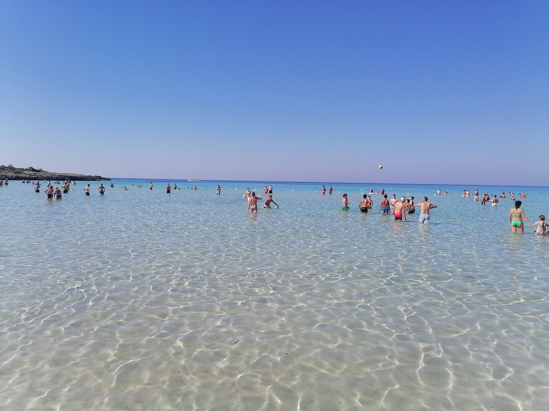 Spiaggia di Montedarena景点图片
