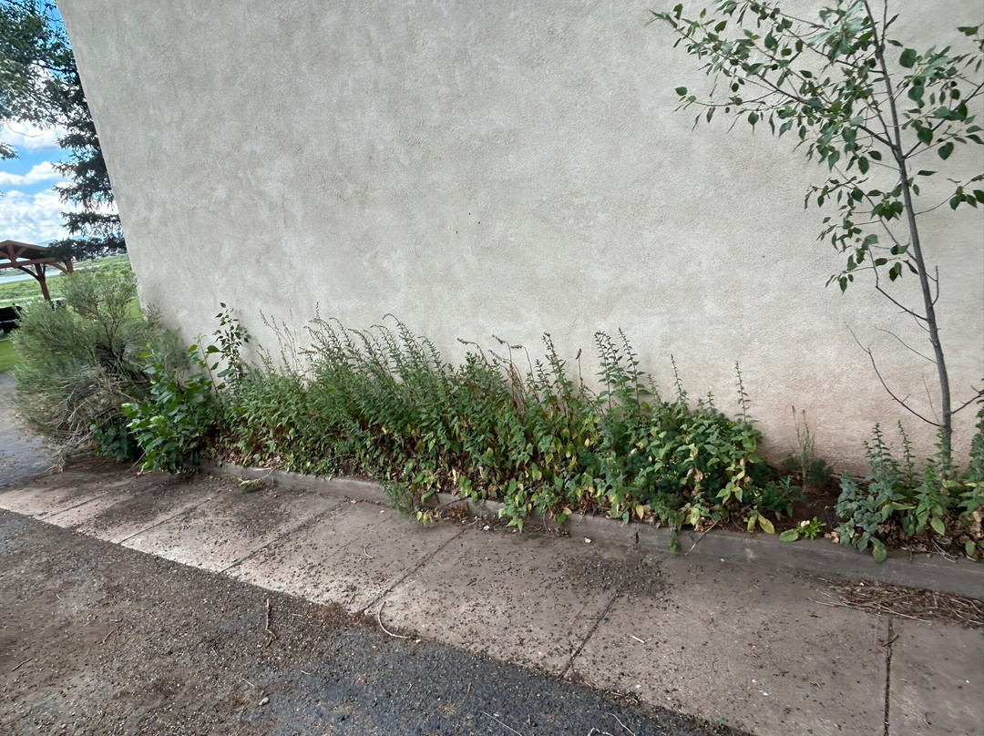 Laguna Vista Lodge主图