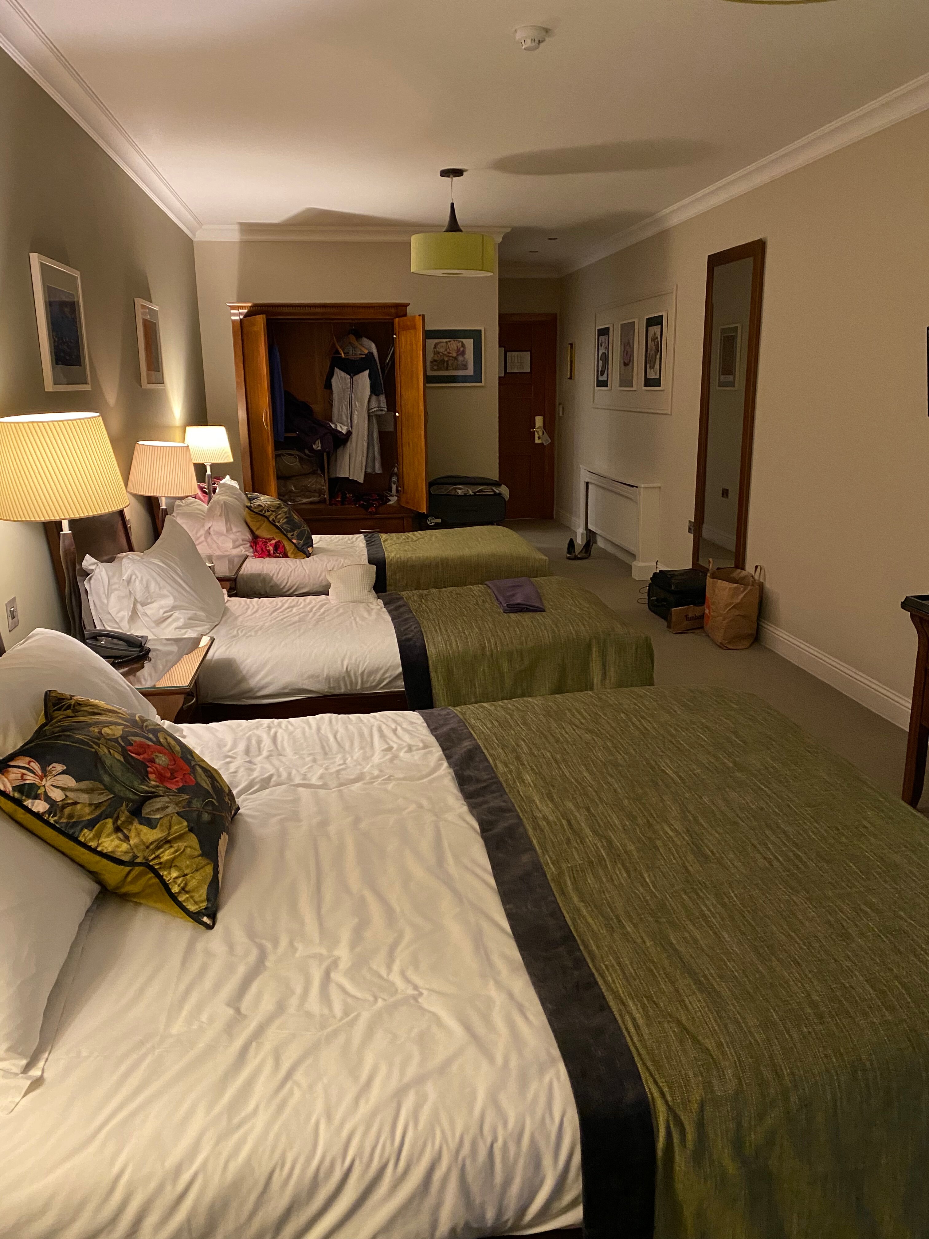 Fernhill House Hotel-客卧