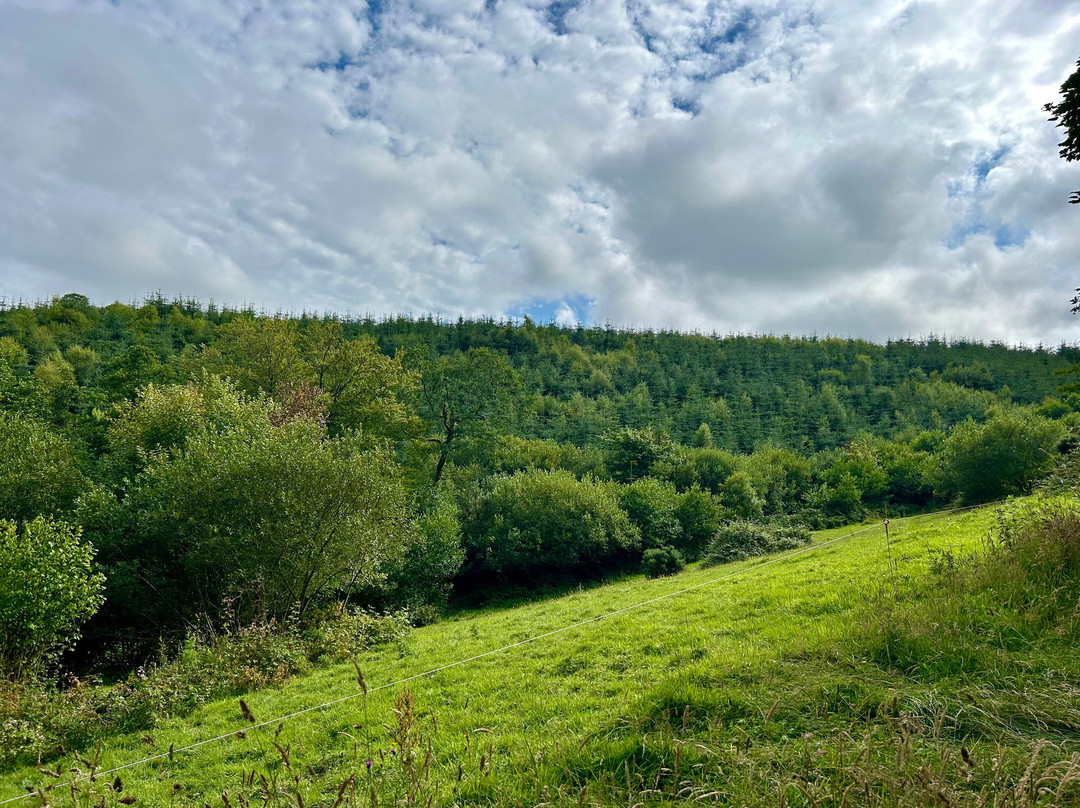Chitcombe Farm Camping Barns