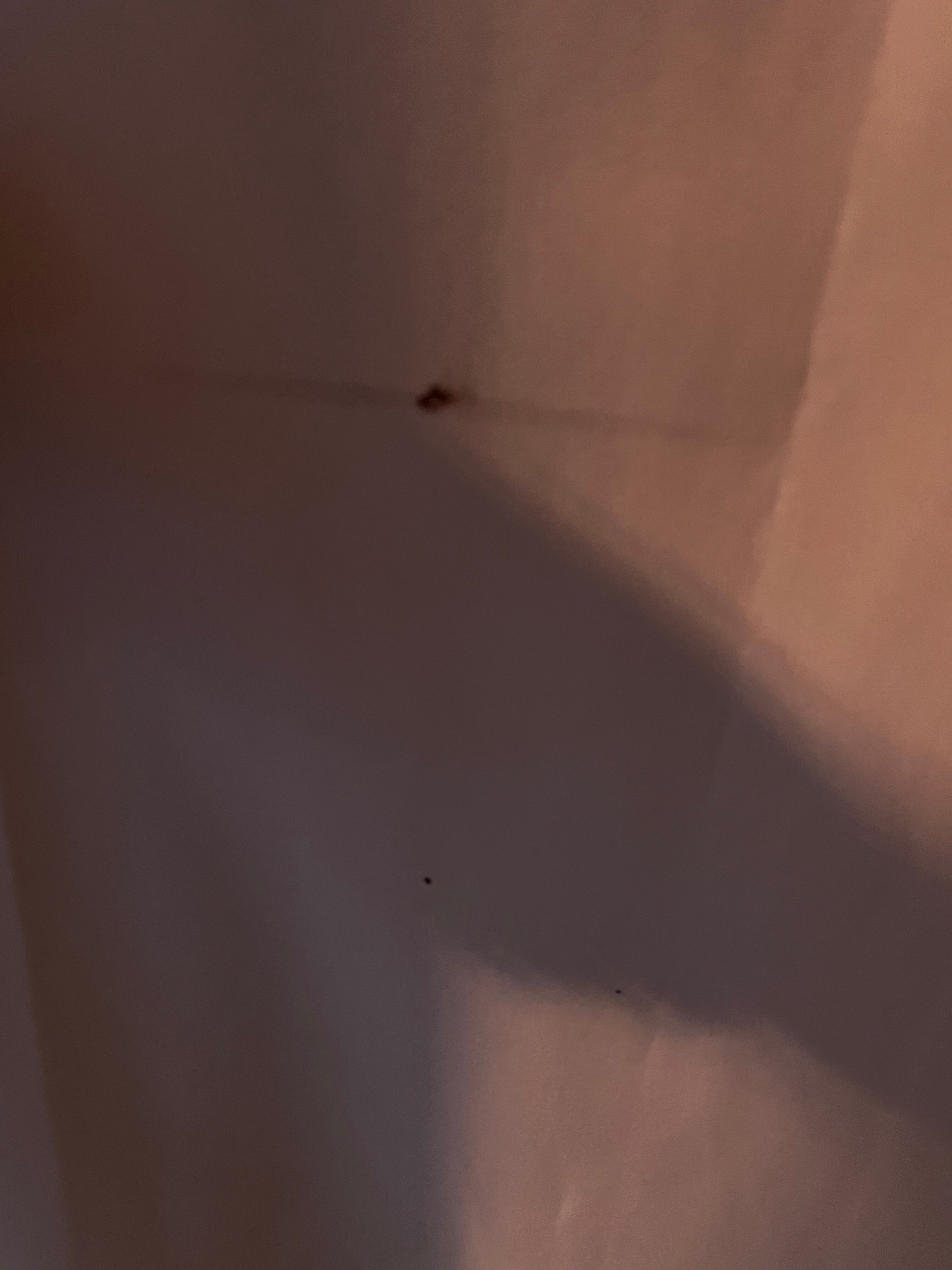 Country Inn & Suites by Radisson, Conyers, GA-客卧