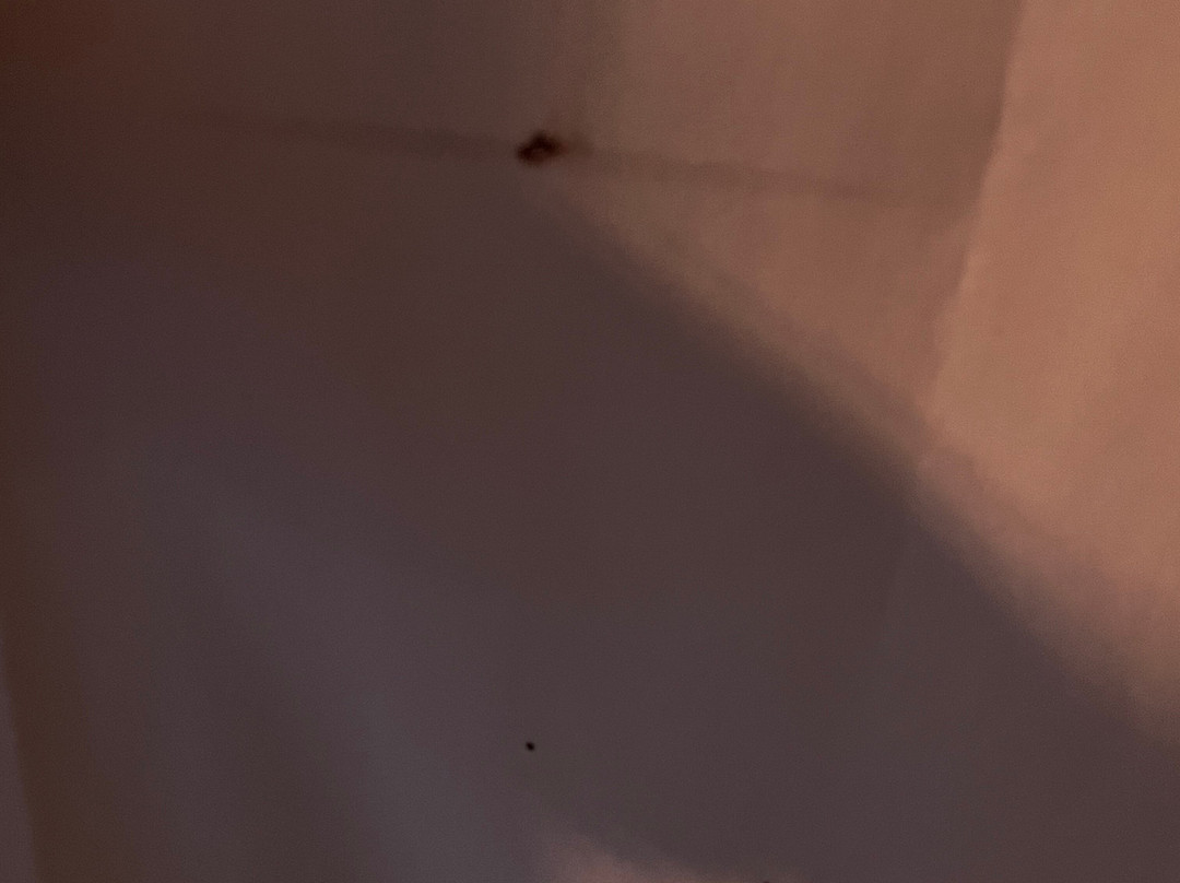 Country Inn & Suites by Radisson, Conyers, GA主图