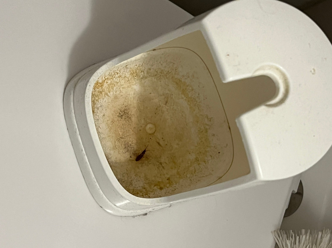 PRIMA Hotel Havelland主图