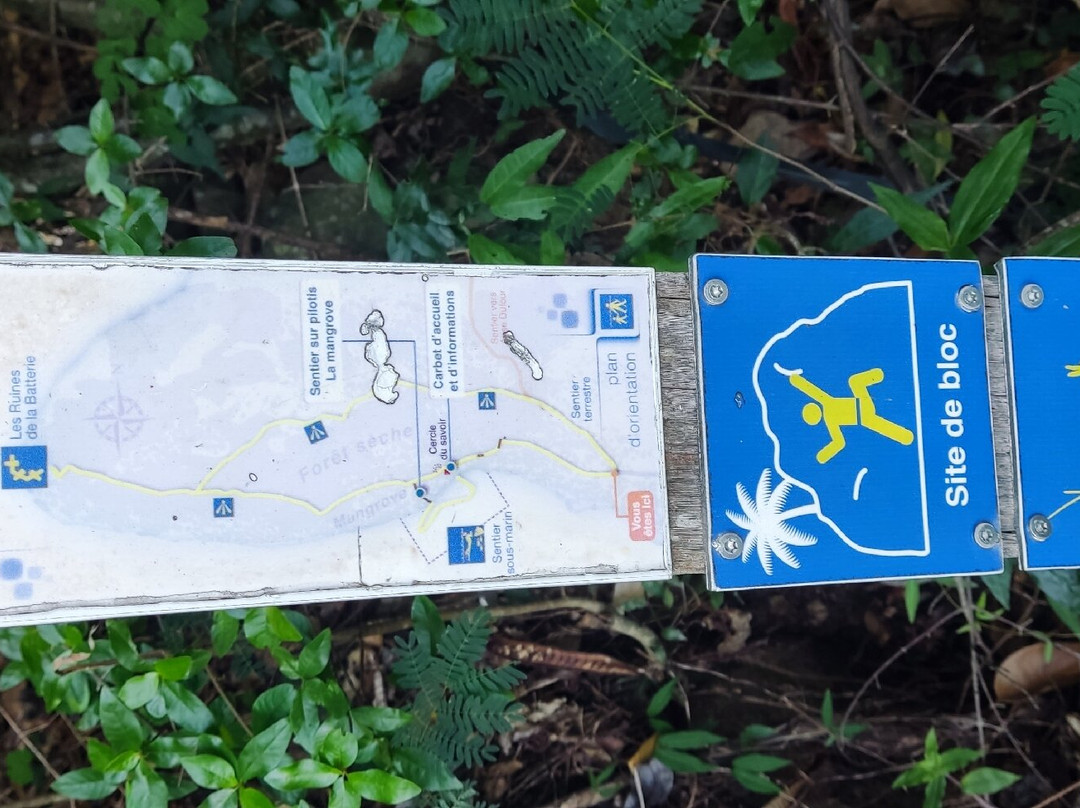 Rando Vers Batterie Du Cap Salomon