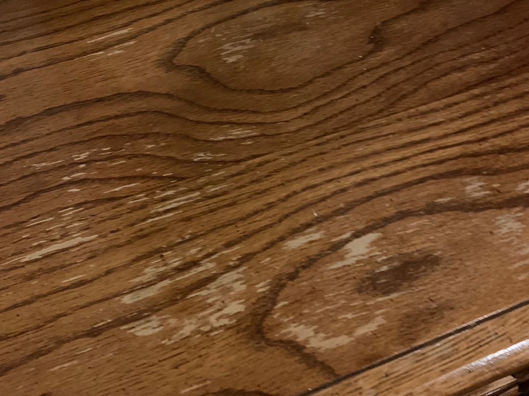 Sun Lodge of Angel Fire主图