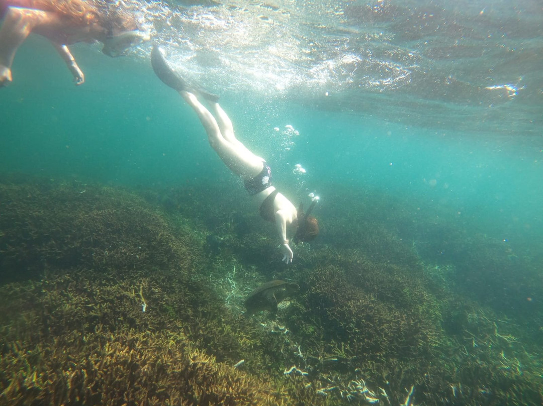 Trinco Water Sport Tours-Trincomalee必去景点