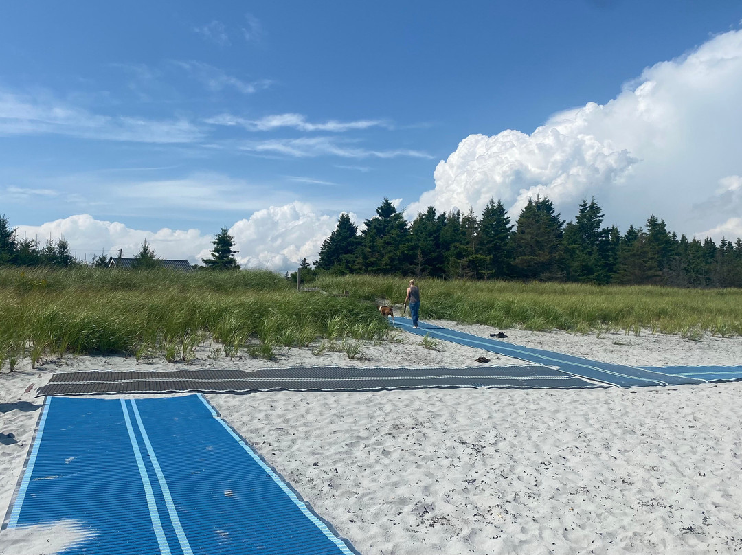 Beach Meadows Beach Park景点图片