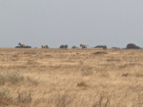 Bike2kili safaris-莫西必去景点