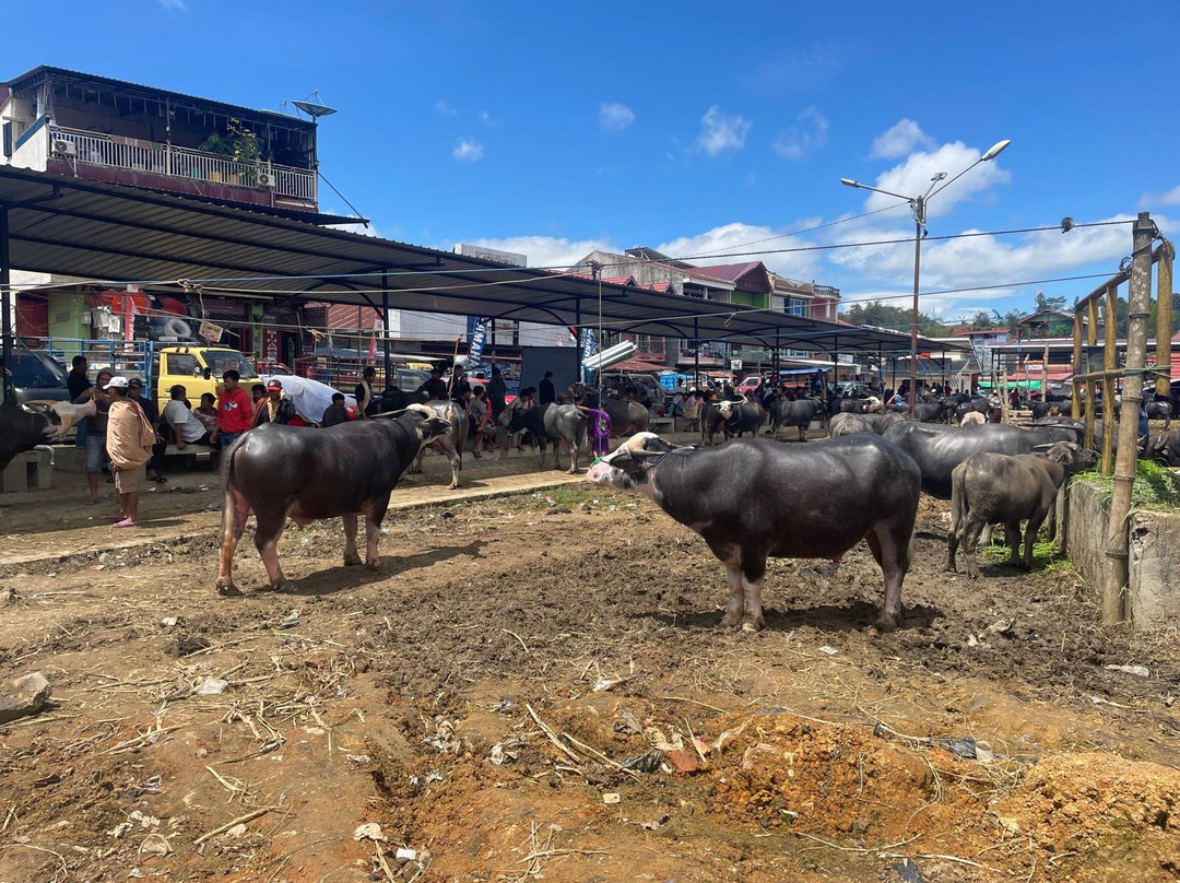 Rantepao Livestock Market景点图片