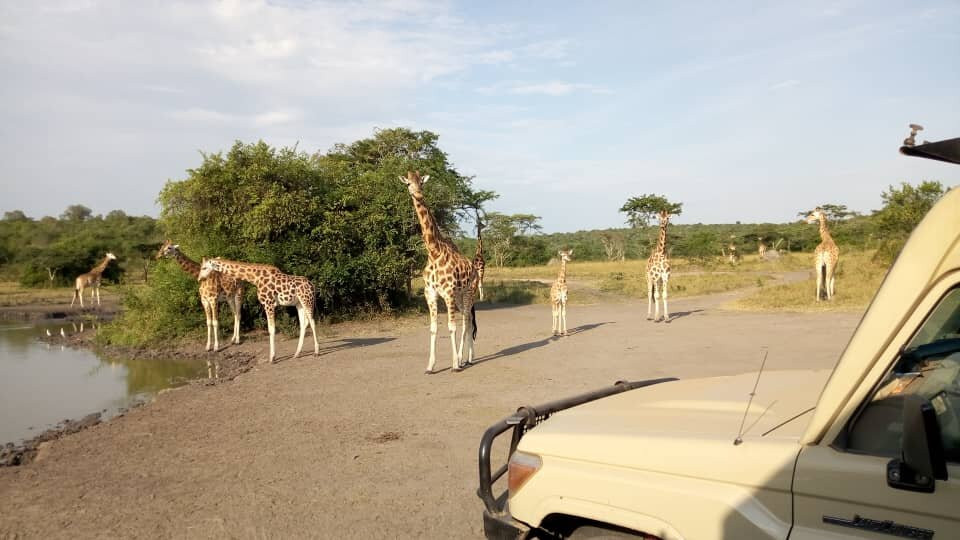 Cream Tours & Safaris-Mbarara必去景点