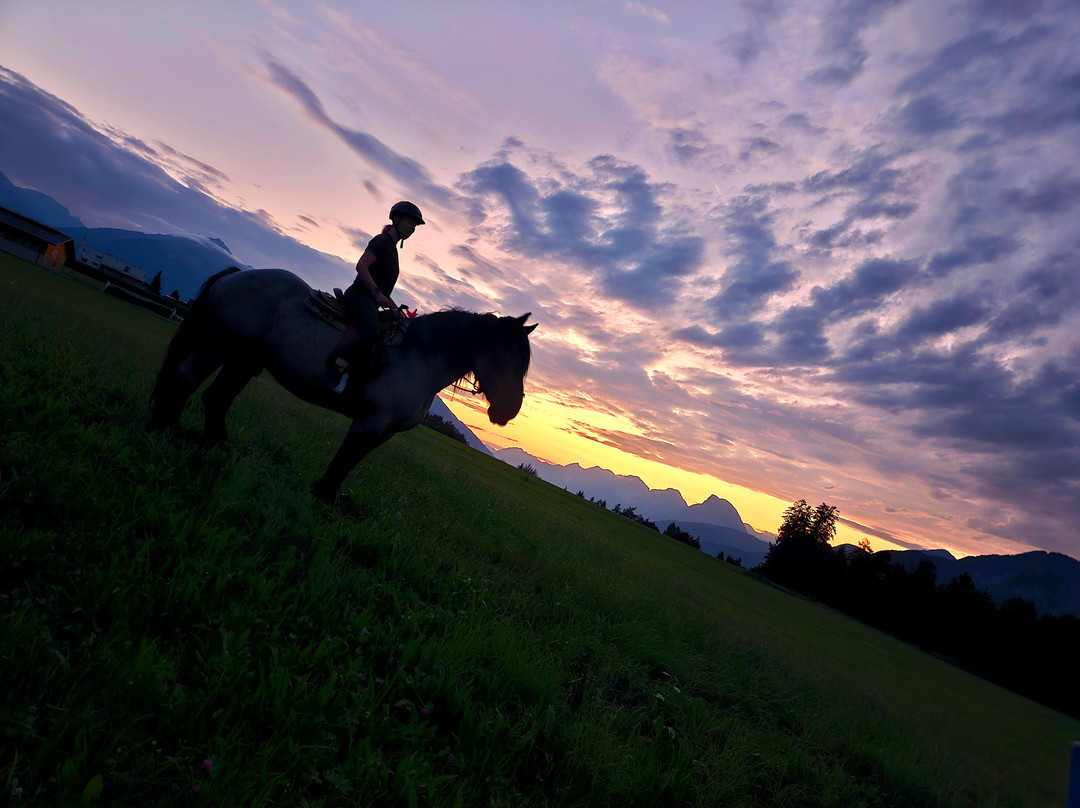 Fearless Horsemanship