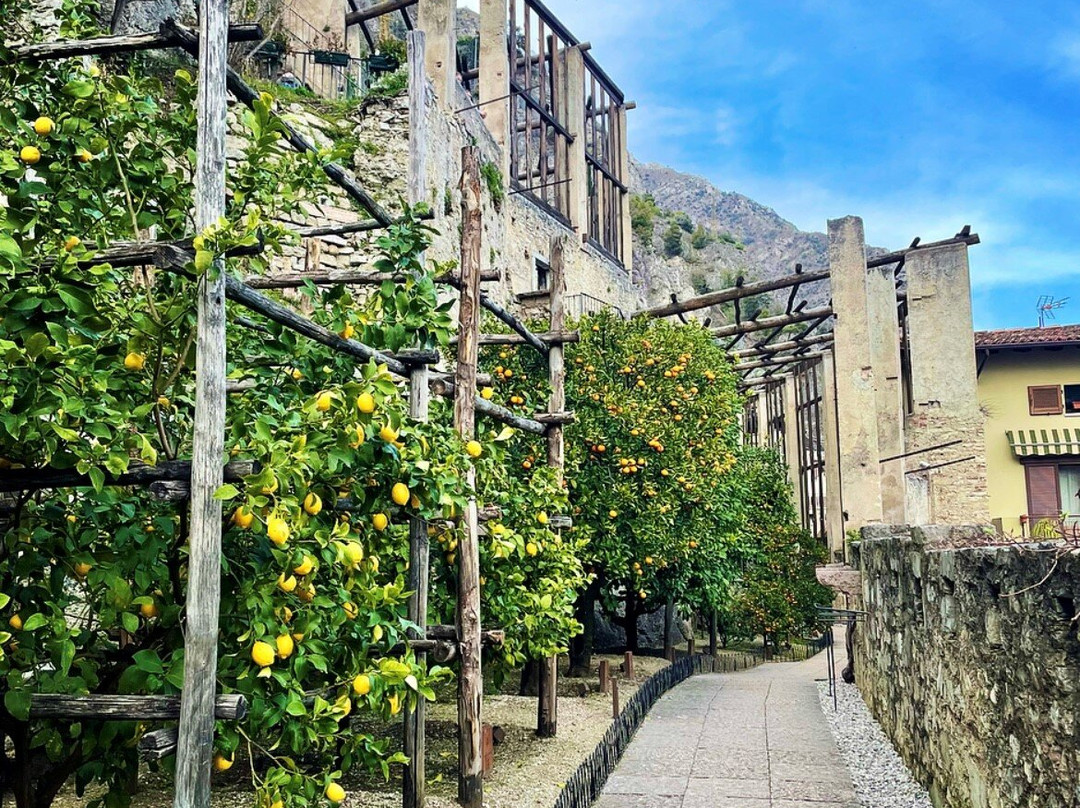 La Limonaia Del Castel景点图片
