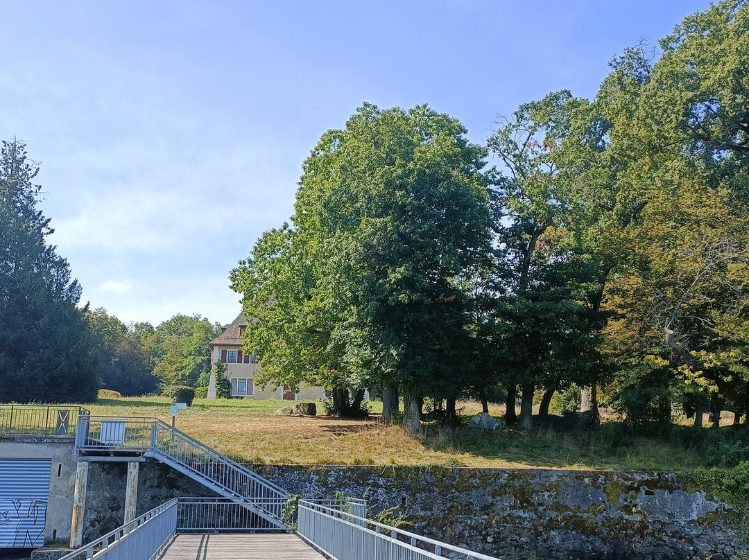 La Chataigniere - Domaine de Rovoree景点图片