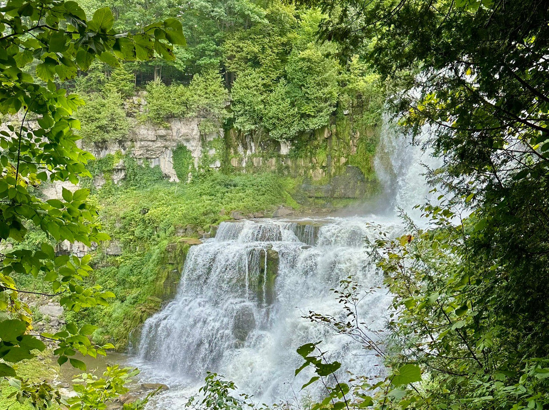 Chittenango Falls State Park-Cazenovia必去景点