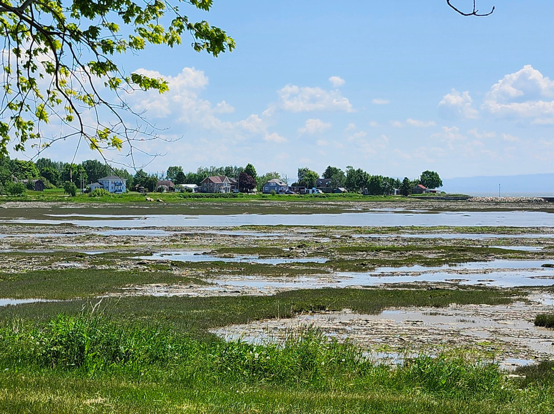 Quai De L'anse-L'Isle-aux-Coudres必去景点
