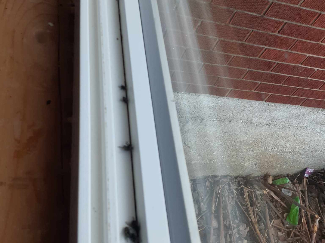 Equita Ranch-Cantley必去景点