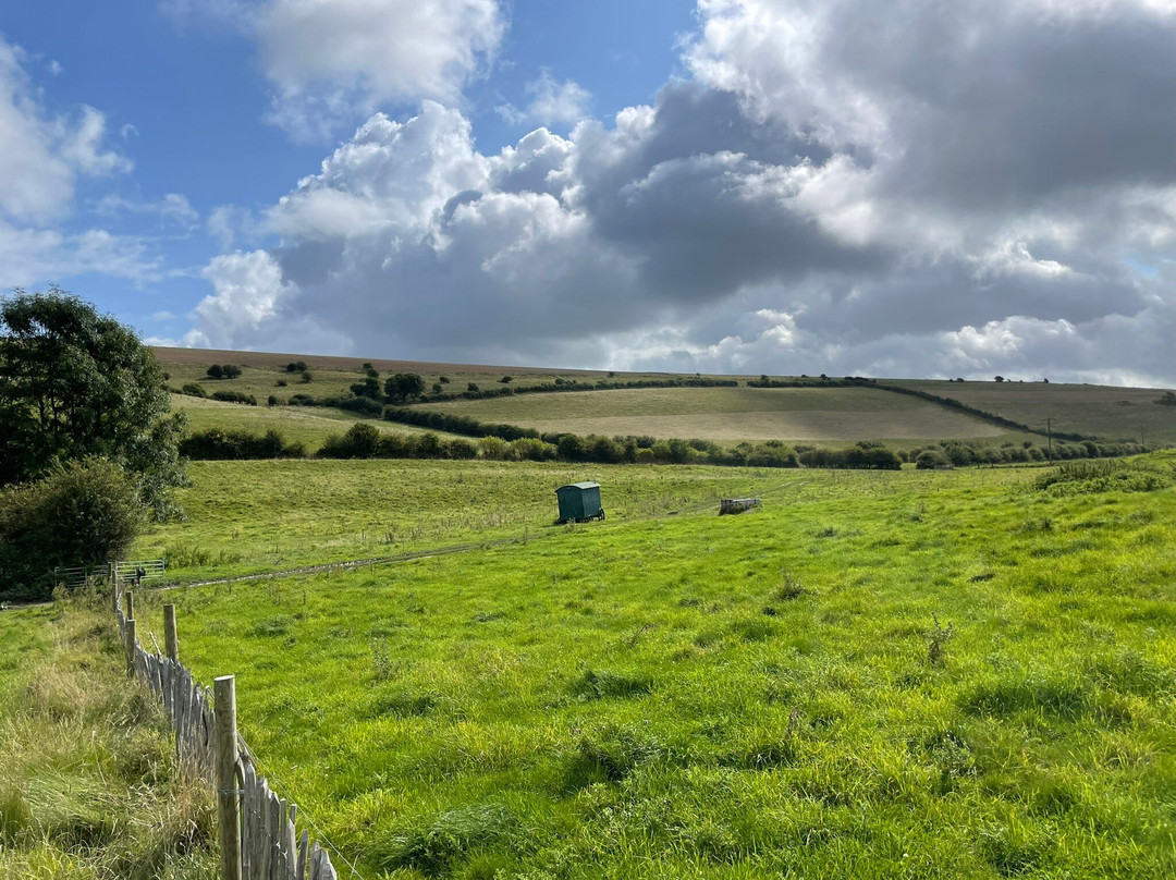 Saddlescombe Farm and Newtimber Hill景点图片