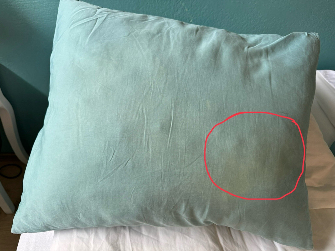 Lamb Inn Ongulsstadir主图