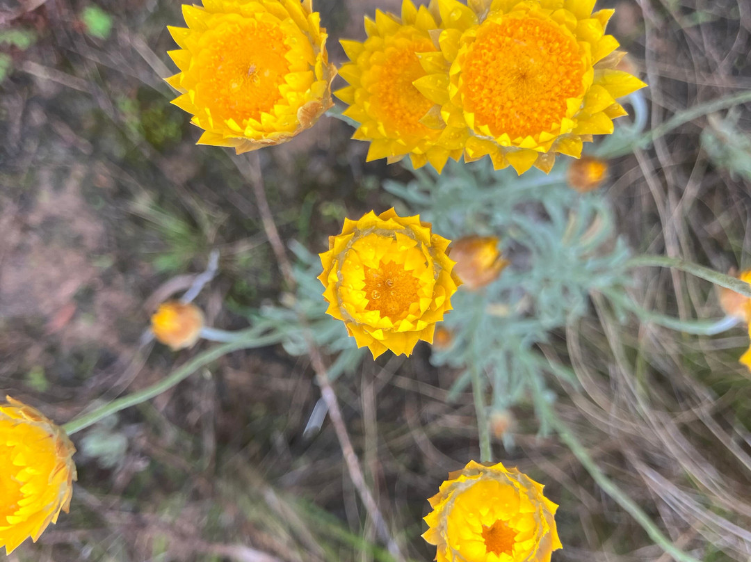 Euroa Arboretum-尤罗阿必去景点