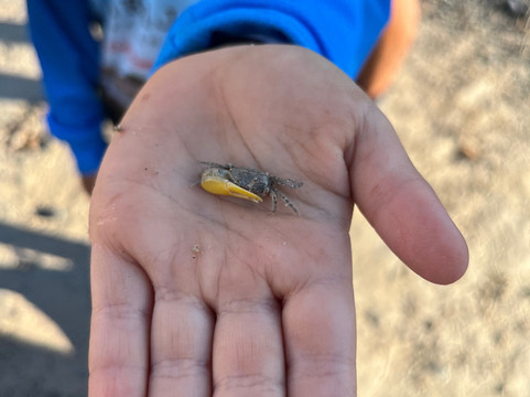 Narlijia Experiences Broome-布鲁姆必去景点