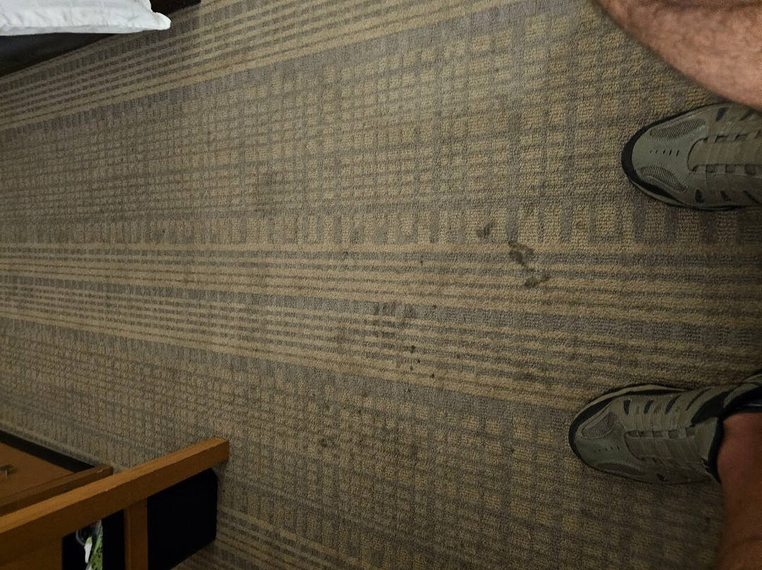 Holiday Inn & Suites Bolingbrook By IHG主图