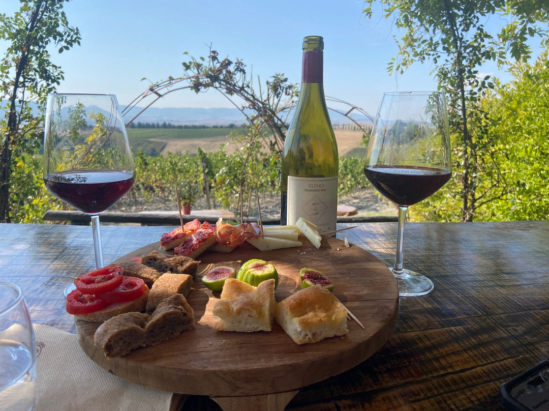 Gianni Moscardini Winery景点图片