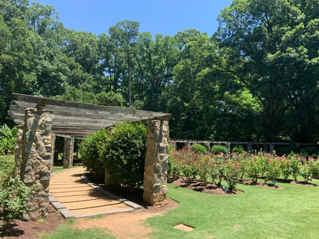 Raleigh Little Theatre Rose Garden景点图片