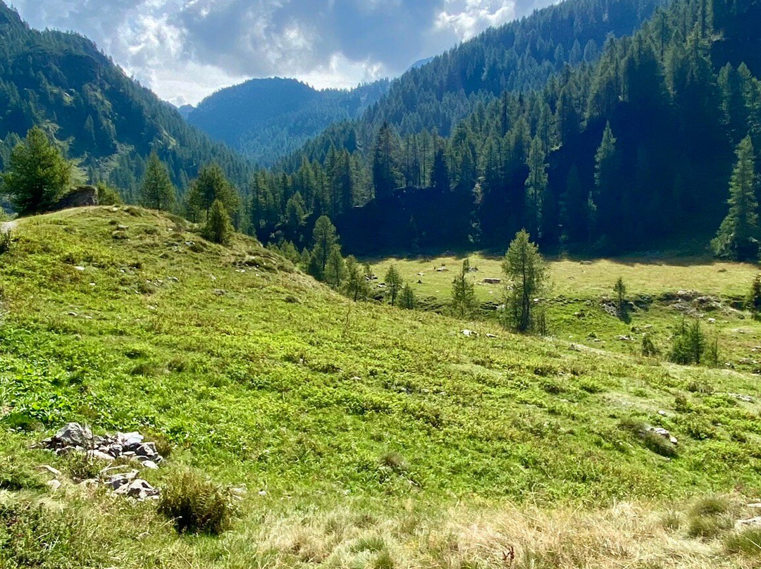 Borgo di Pagliari景点图片