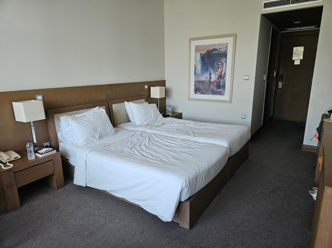 阿玛里亚酒店主图