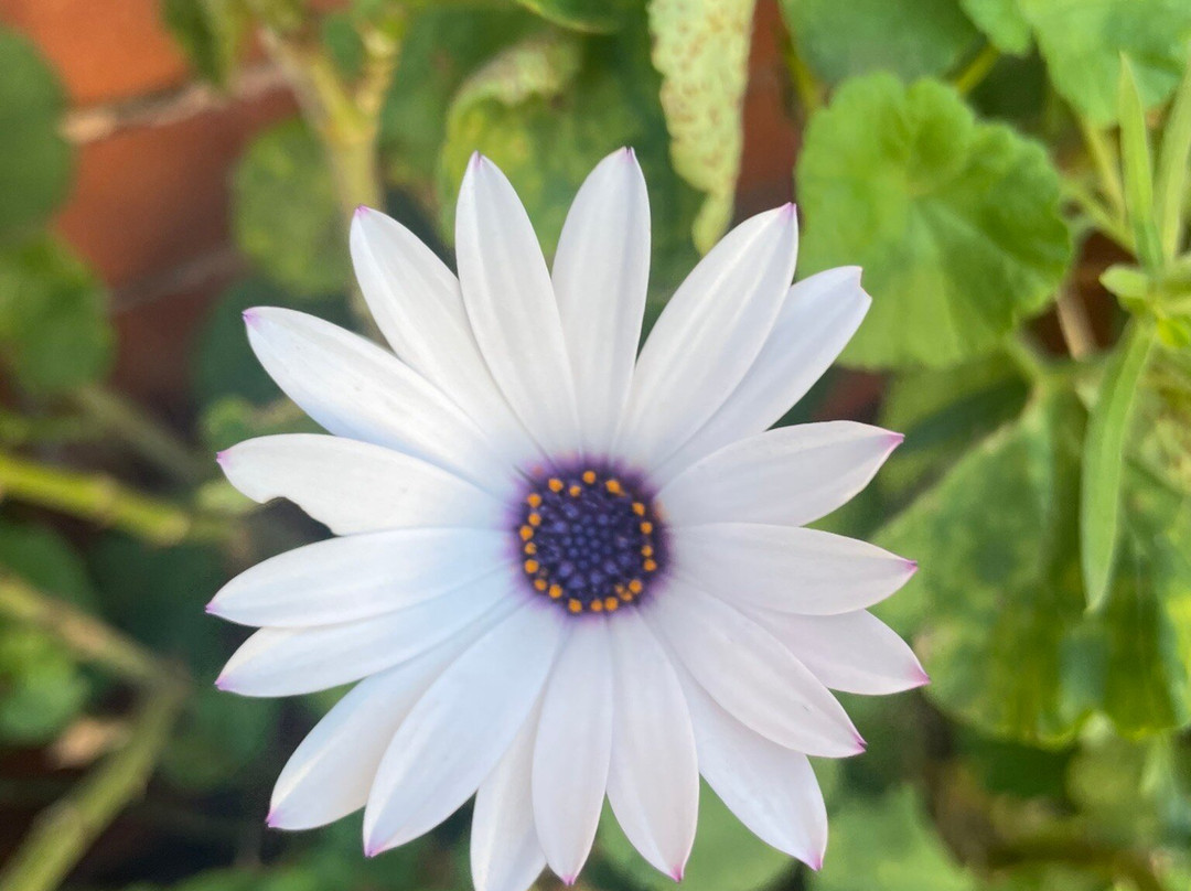 Holy Trinity Anglican Church-Yarram必去景点