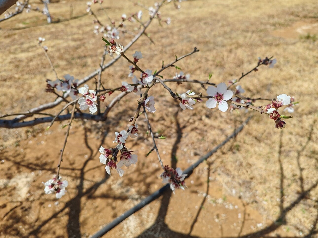 The Field Berry Farm-Walkerville必去景点