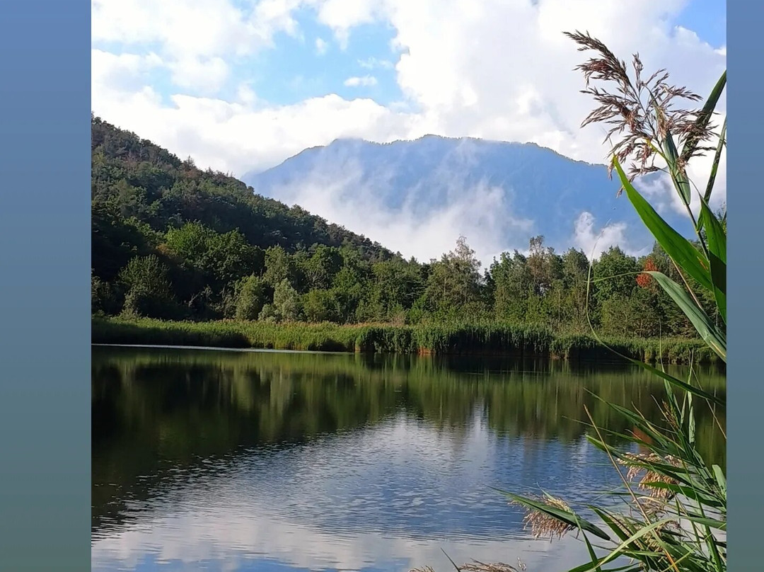 Riserva Naturale del Lago di Villa景点图片