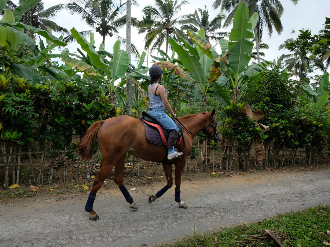 Ubud Horse Stables-德格拉朗必去景点