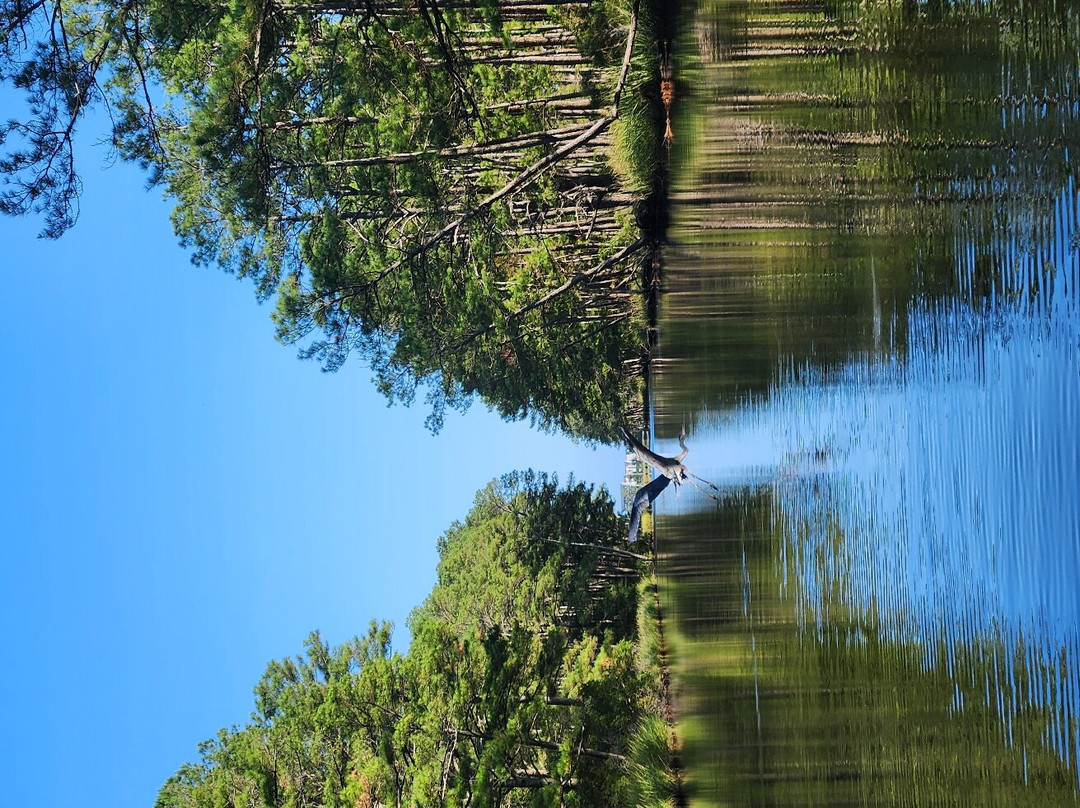 Ecobay Kayak Adventures-Ocean View必去景点