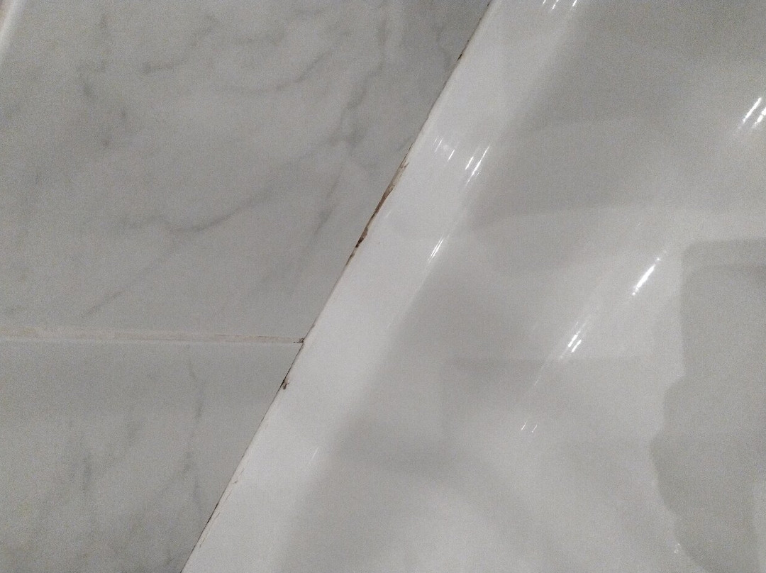 Romantik Hotel Zur Schwane主图