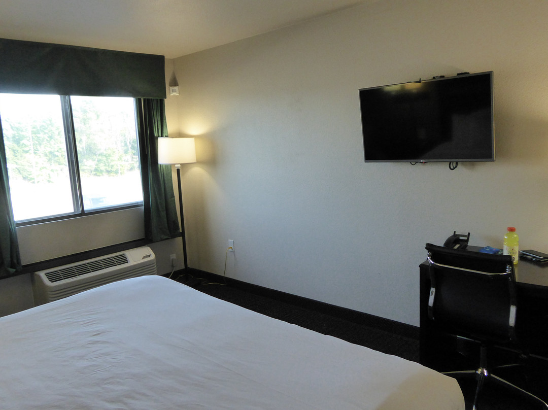 Baymont by Wyndham Wellington主图