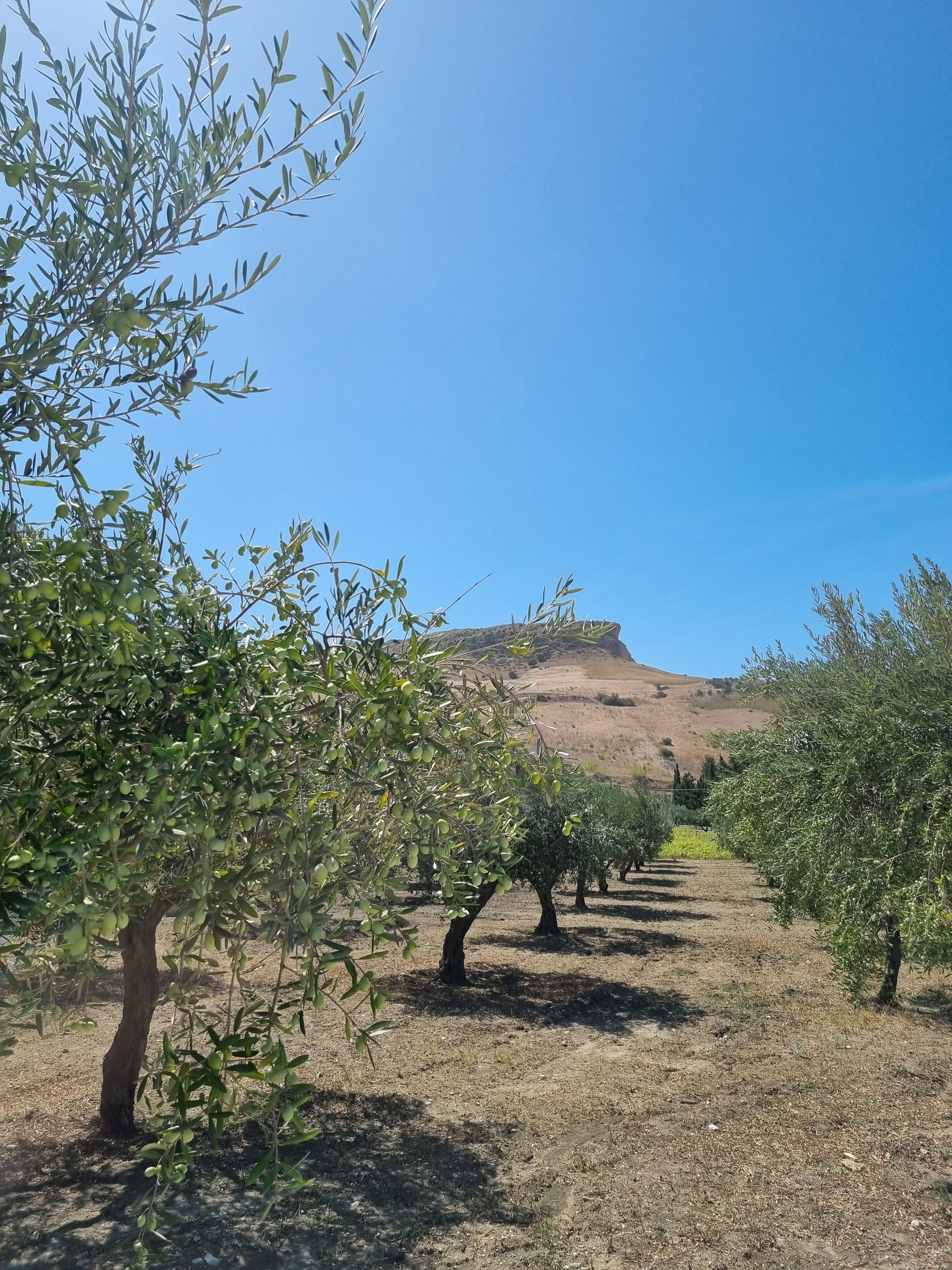Borgo Giallonardo Wine & Charme Relais-浴室