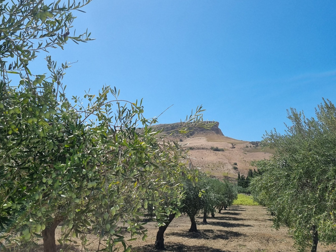 Borgo Giallonardo Wine & Charme Relais主图