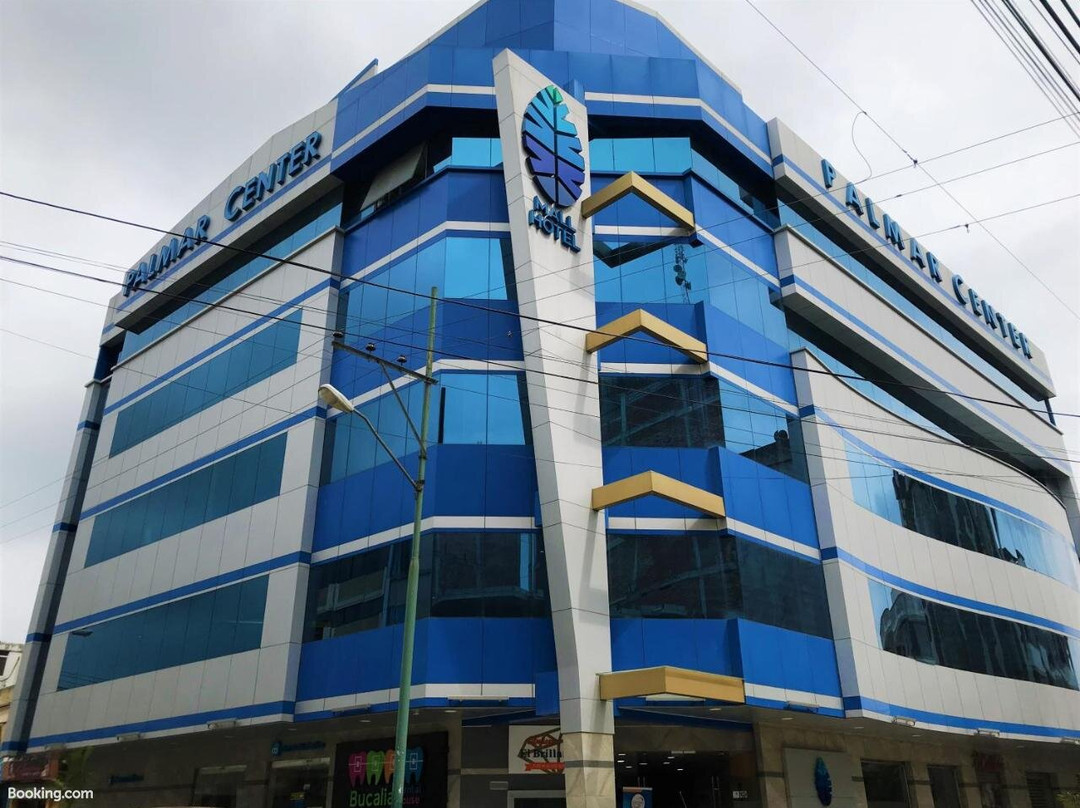 Palmar Center Hotel