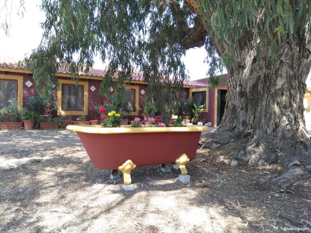 Casa Del Procurador主图