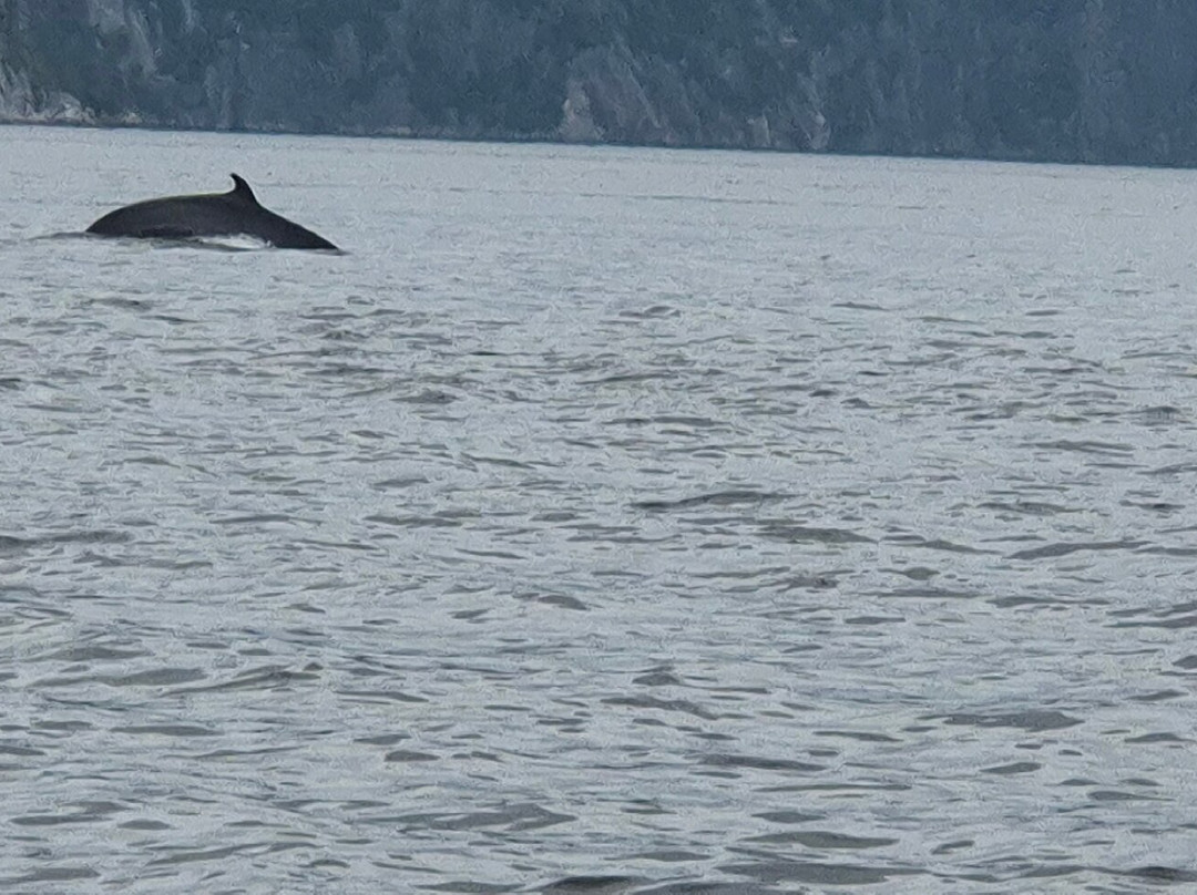 Croisières Essipit-Grandes-Bergeronnes必去景点