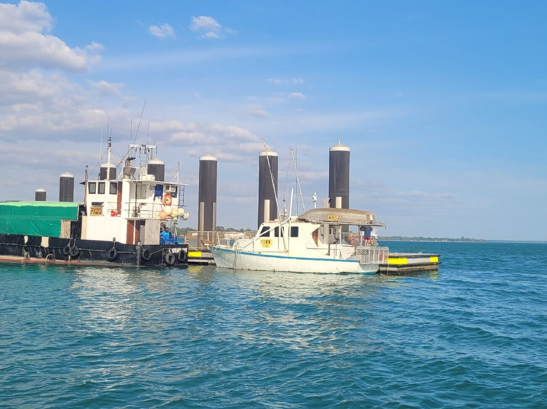 Western Cape Eco Tours-Weipa必去景点