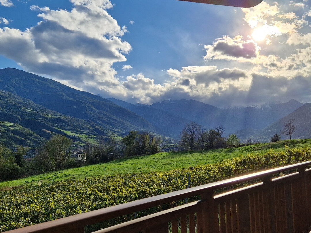 Agriturismo La Viggni de Crest主图
