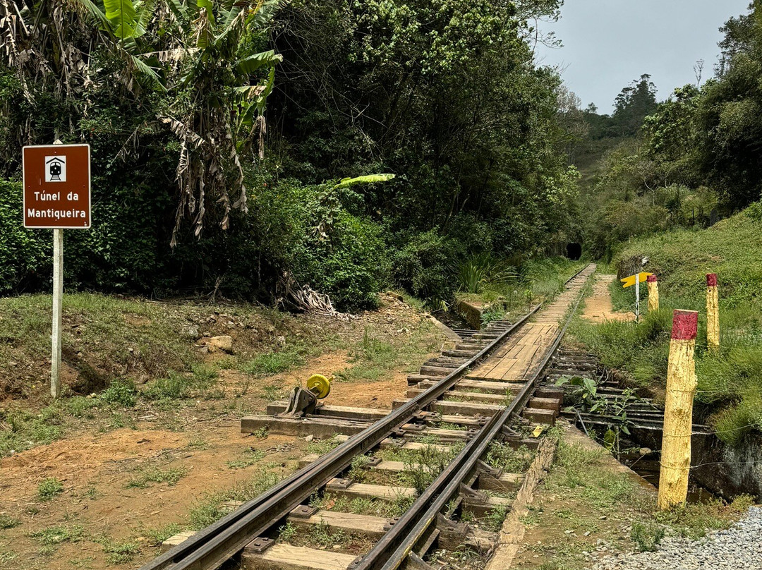 Trem da Serra da Mantiqueira景点图片