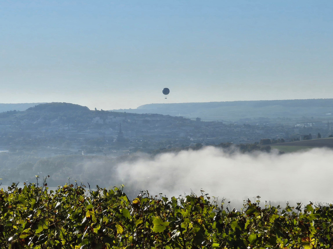 La Vigne du Roy Champagne Day Tours景点图片