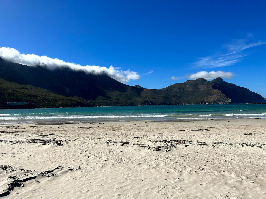 Hout Bay Beach-木湾必去景点