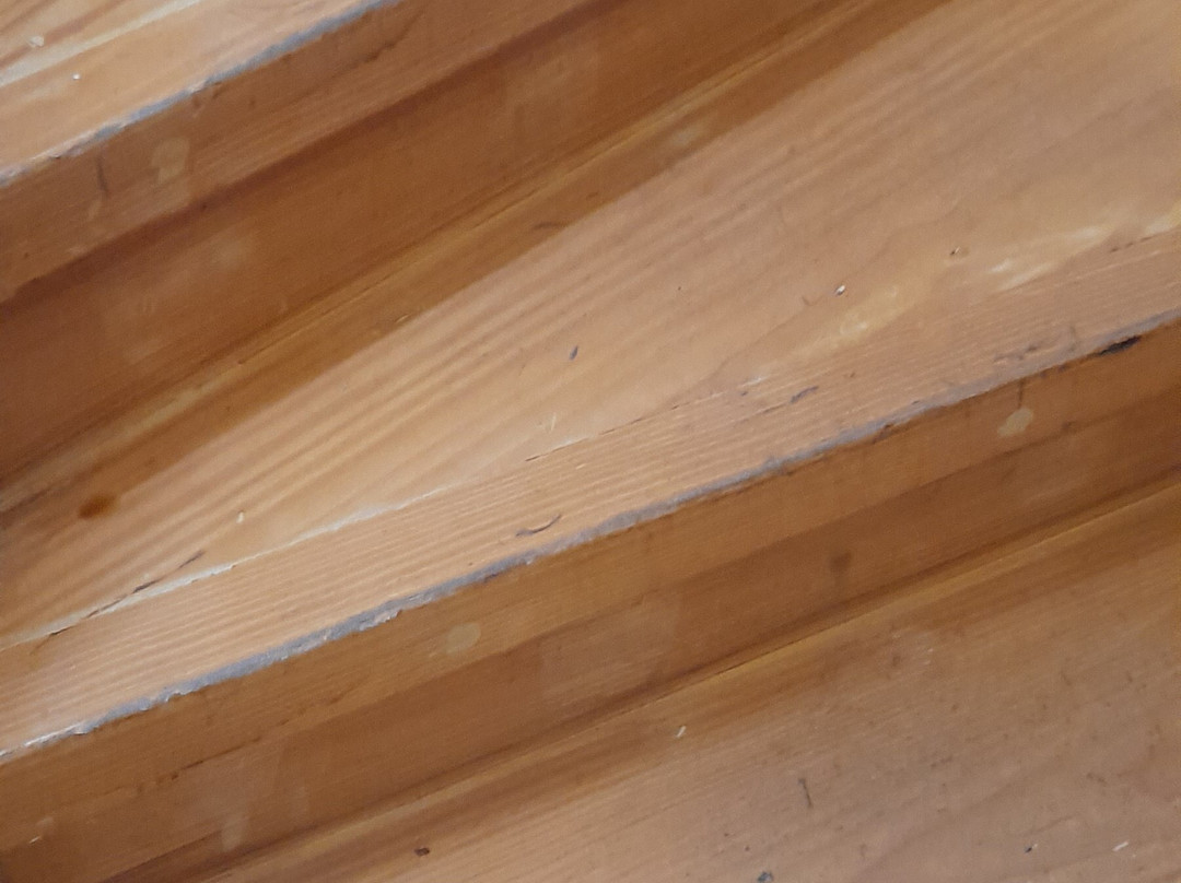 Aleixomor'Aqui主图