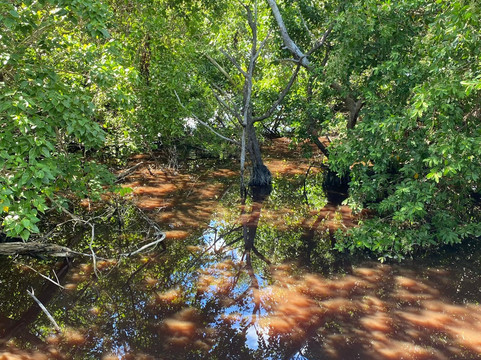 Island Trail Adventures-圣 托马斯必去景点